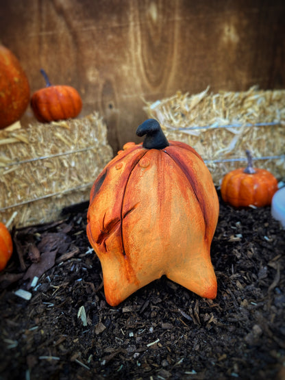 Maple the Pumpkin Puppy 🎃