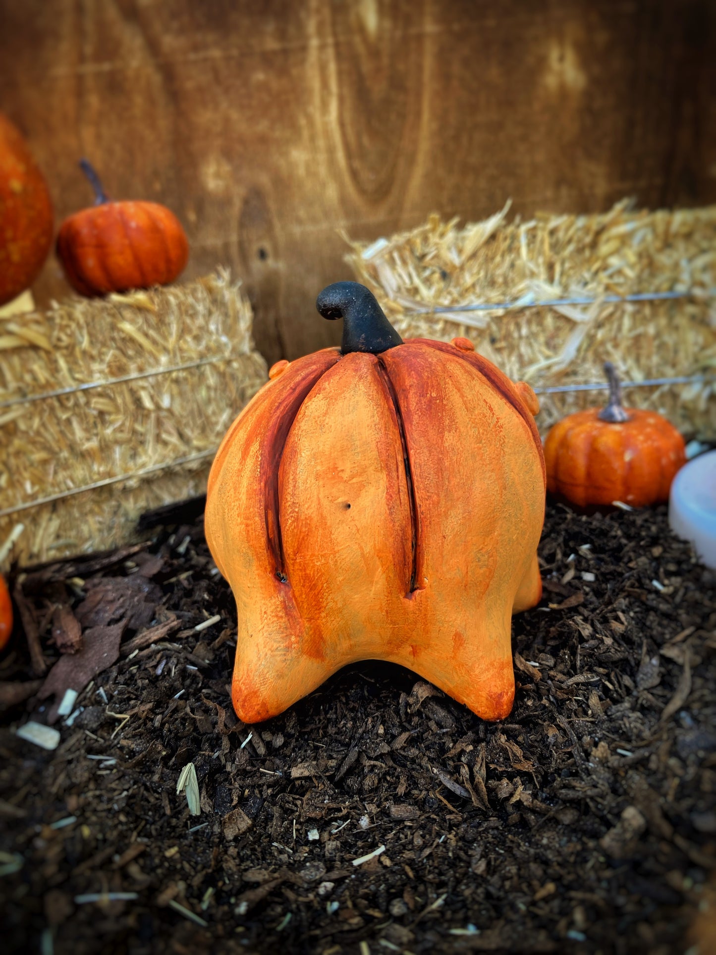 Maple the Pumpkin Puppy 🎃